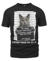 Men's Premium Tshirt