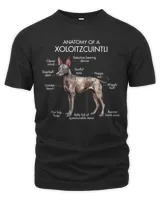 Men's Premium Tshirt
