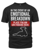 Unisex Premium T-Shirt