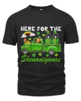 Unisex Premium T-Shirt