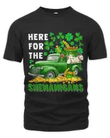 Unisex Premium T-Shirt