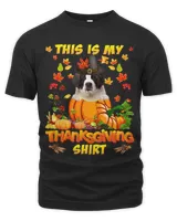 Unisex Premium T-Shirt Unisex Premium T-Shirt