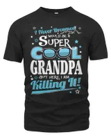 Men's Premium Tshirt