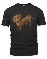 Men's Premium Tshirt