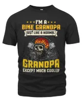Men's Premium Tshirt