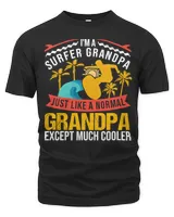 Men's Premium Tshirt