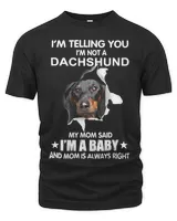 Men's Premium Tshirt
