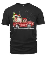 Men's Premium Tshirt