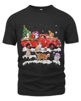 Men's Premium Tshirt