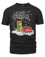 Men's Premium Tshirt