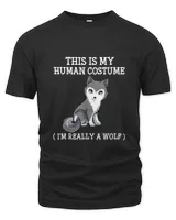 Men's Premium Tshirt