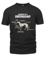 Men's Premium Tshirt