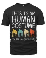 Men's Premium Tshirt