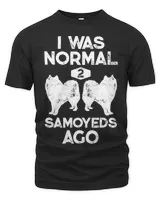 Men's Premium Tshirt