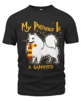 Men's Premium Tshirt