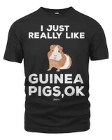 Men's Premium Tshirt