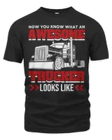 Men's Premium Tshirt