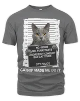 Men's Premium Tshirt