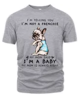 Men's Premium Tshirt