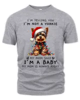 Men's Premium Tshirt