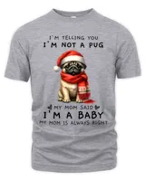 Men's Premium Tshirt