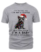 Men's Premium Tshirt