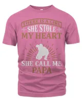 Men's Premium Tshirt