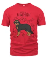 Men's Premium Tshirt