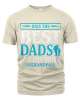 Father's Day Gifts, Father's Day Shirts, Father's Day Gift Ideas, Father's Day Gifts 2022, Gifts for Dad (52) Men's Premium Tshirt natural s