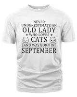 Men's Premium Tshirt