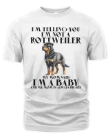 Men's Premium Tshirt