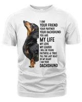 Men's Premium Tshirt