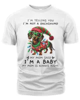 Men's Premium Tshirt