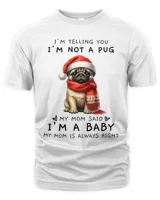 Men's Premium Tshirt