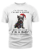 Men's Premium Tshirt