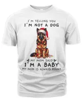 Men's Premium Tshirt