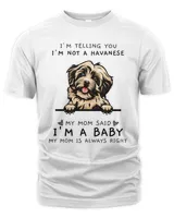 Men's Premium Tshirt