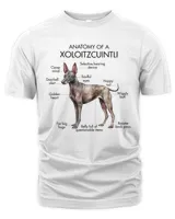 Men's Premium Tshirt