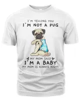 Men's Premium Tshirt