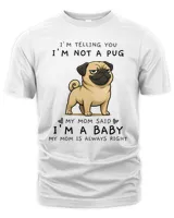 Men's Premium Tshirt