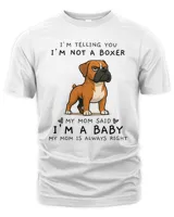 Men's Premium Tshirt