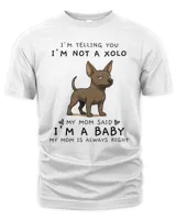 Men's Premium Tshirt