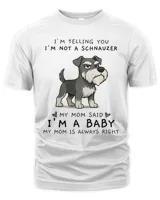 Men's Premium Tshirt
