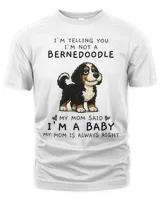 Men's Premium Tshirt