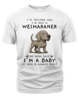 Men's Premium Tshirt