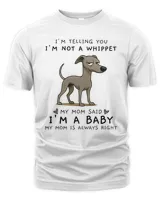 Men's Premium Tshirt