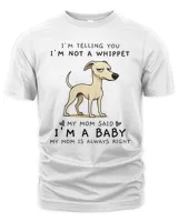 Men's Premium Tshirt