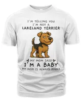 Men's Premium Tshirt