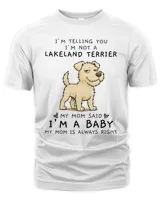 Men's Premium Tshirt