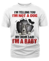 Men's Premium Tshirt